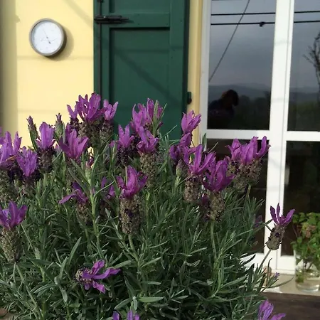 Il Giardino Alojamento de Acomodação e Pequeno-almoço *