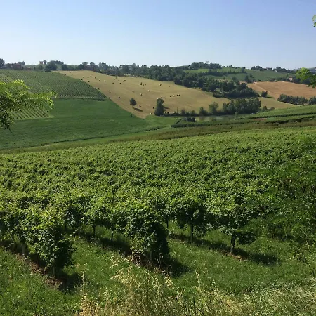 Il Giardino Alojamento de Acomodação e Pequeno-almoço Castelvetro di Modena