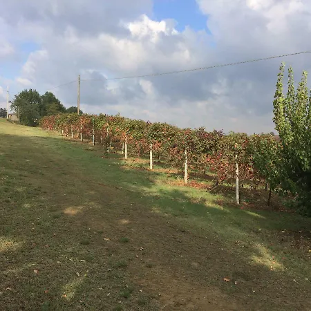 Il Giardino Castelvetro di Modena