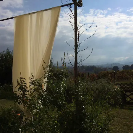 Il Giardino