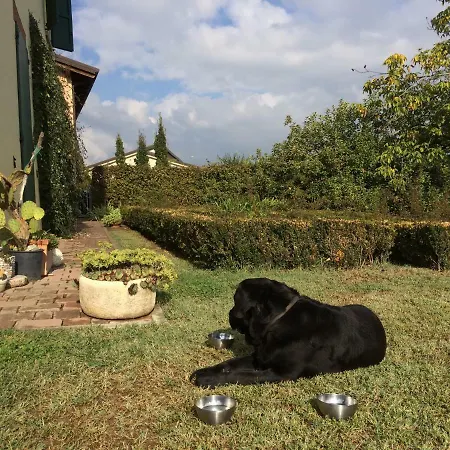 Il Giardino