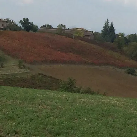 Il Giardino *