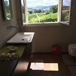 Il Giardino Castelvetro di Modena