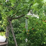 Il Giardino Castelvetro di Modena