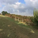 Il Giardino Castelvetro di Modena