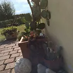 Il Giardino Castelvetro di Modena