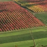 Bed & Breakfast Il Giardino 3*