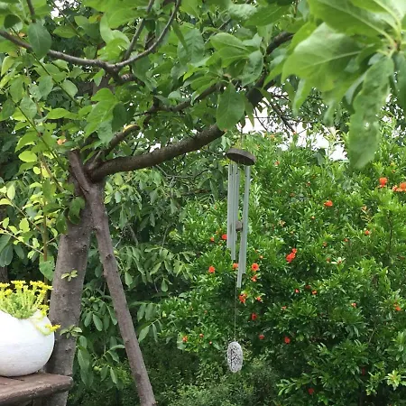 Il Giardino 卡泰维托莫顿