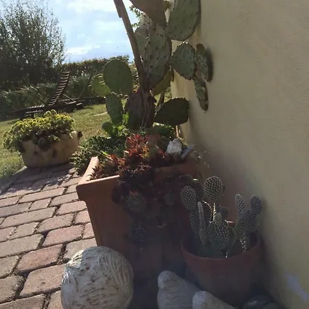 Il Giardino 卡泰维托莫顿