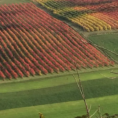 Panzió Il Giardino 3*