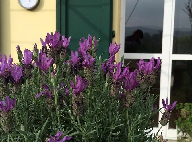 Il Giardino Couette-café 3*