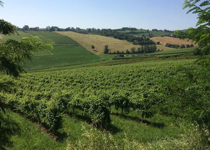 Il Giardino Couette-café Castelvetro di Modena