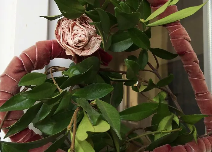 Couette-café Il Giardino