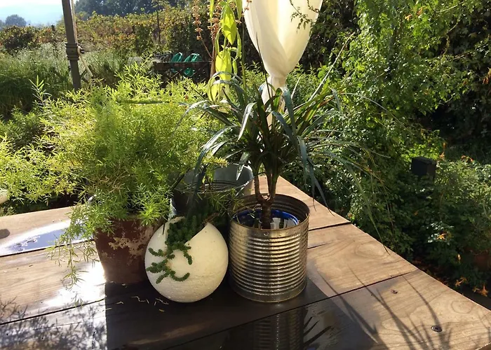 Il Giardino Couette-café 3*