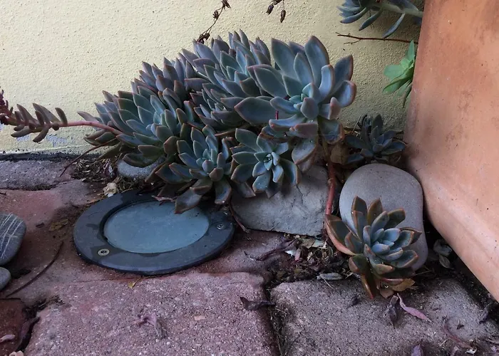 Il Giardino Couette-café Castelvetro di Modena