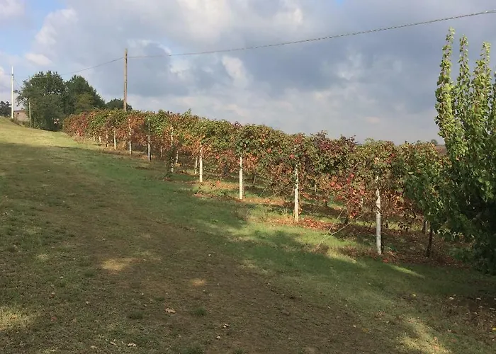 Il Giardino Castelvetro di Modena