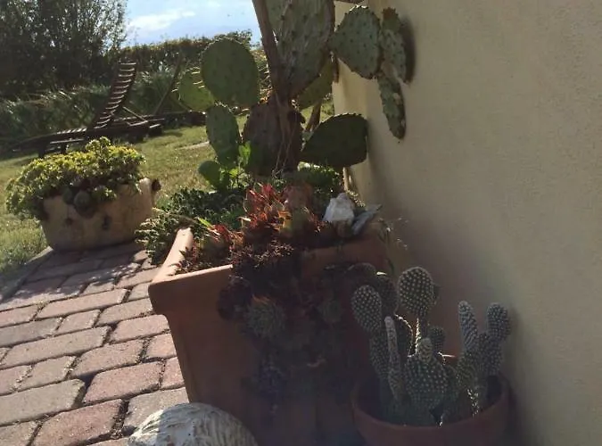 Il Giardino Castelvetro di Modena