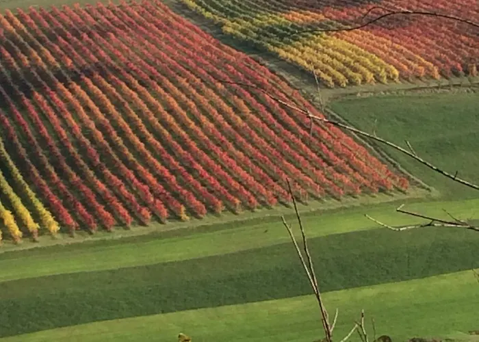 Couette-café Il Giardino 3*