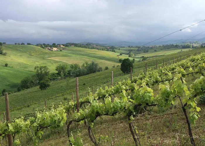 Il Giardino Couette-café