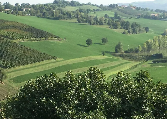Il Giardino Couette-café Castelvetro di Modena